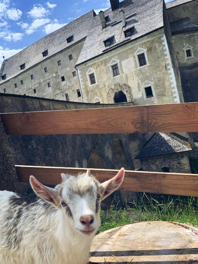 Hotel Burg Altpernstein Micheldorf in Oberösterreich Esterno foto